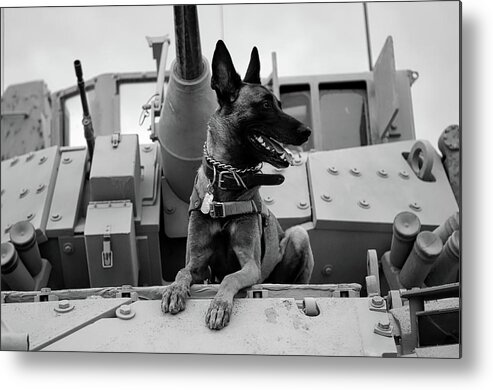 Tank Metal Print featuring the photograph Military Buddy #1 by Mountain Dreams