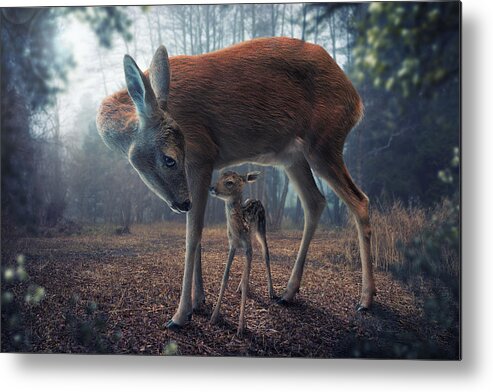 Surreal Metal Print featuring the photograph Mother And Fawn by John Wilhelm