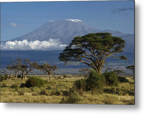 Africa Metal Print featuring the photograph Mount Kilimanjaro #1 by Michele Burgess