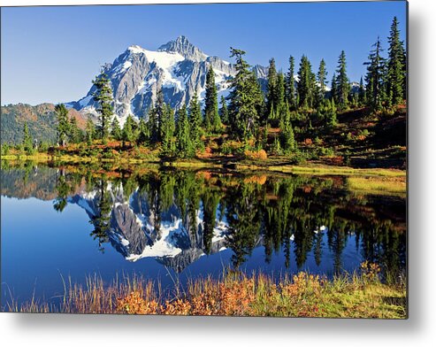 Shuksan Metal Print featuring the photograph Mount Shuksan reflected in Picture Lake in Fall by Michael Russell