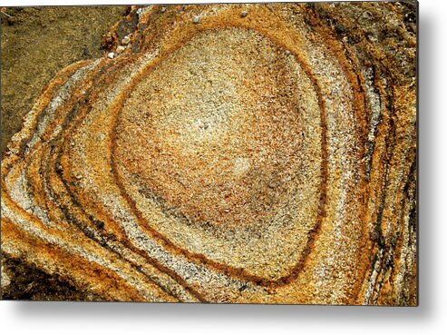 Nature Metal Print featuring the photograph Nature Rings #1 by Amarildo Correa