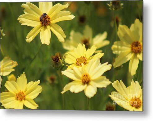 Yellow Metal Print featuring the photograph Nature's Beauty 63 by Deena Withycombe