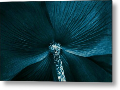  Metal Print featuring the photograph Poppy Art #1 by The Art Of Marilyn Ridoutt-Greene