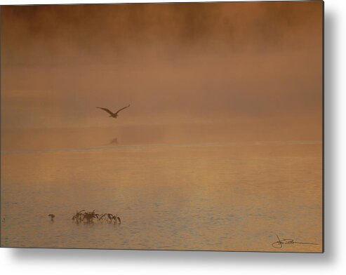 Country Metal Print featuring the photograph Primeval Dawn #1 by Jim Bunstock