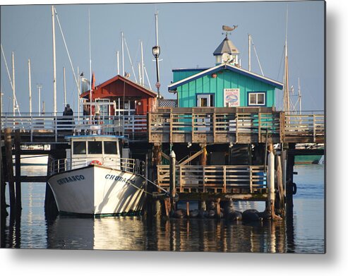 Barbara Snyder Metal Print featuring the photograph Randy's Whale Watching And Fishing Trips #2 by Barbara Snyder