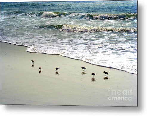 Beach Metal Print featuring the photograph Reflections #1 by John Kenealy