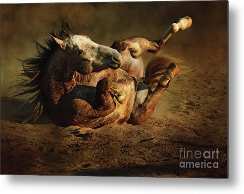 Animal Metal Print featuring the photograph Beautiful Rolling Horse by Dimitar Hristov