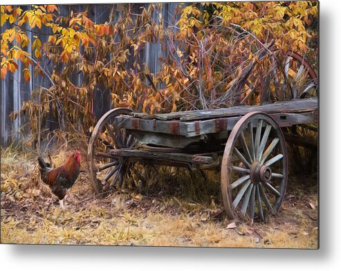 Farm Metal Print featuring the photograph Rusty #1 by Robin-Lee Vieira