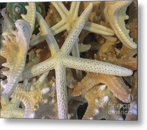 Starfish Metal Print featuring the photograph Starfish Treasure by Dale Powell