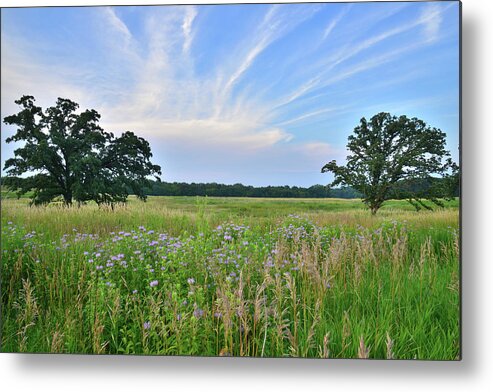 Black Eyed Susan Metal Print featuring the photograph Silver Creek Conservation Area Sunset #1 by Ray Mathis