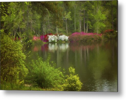 Landscape Photography Metal Print featuring the photograph Spring Daze #1 by Mary Buck