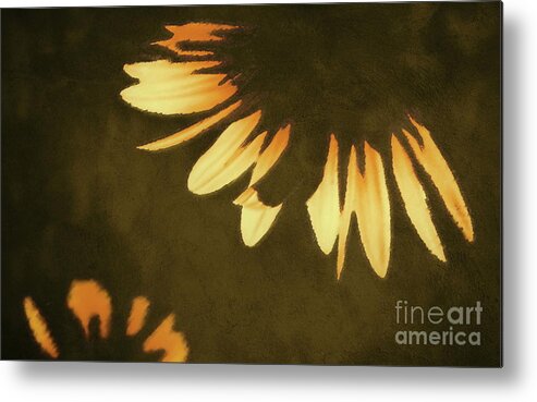 Digital Altered Photo Metal Print featuring the digital art Sunflower Lampshade #1 by Tim Richards