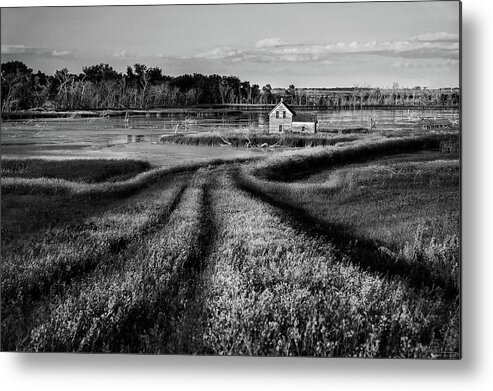 Abandoned Nd Rural Farmstead Homestead Trail Water Devils Lake Flood Landscape Scenic Horizontal B&w Black And White Stensby Brinsmade Normania Silver Lake Metal Print featuring the photograph The Path Home #1 by Peter Herman