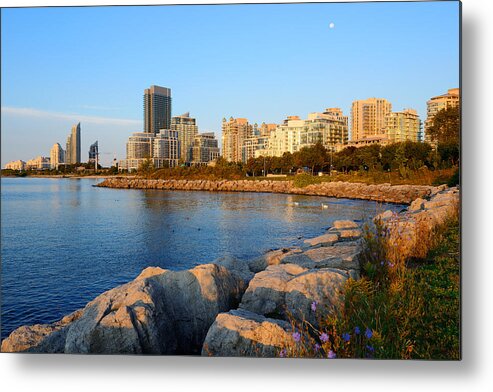 Toronto Metal Print featuring the photograph Toronto morning #1 by Songquan Deng