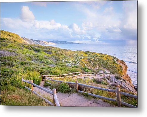 Torrey Pines Metal Print featuring the photograph Torrey Pines Trail #1 by Shuwen Wu