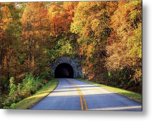 Autumn Metal Print featuring the photograph Tunnel Through Autumn #1 by Paul Malcolm
