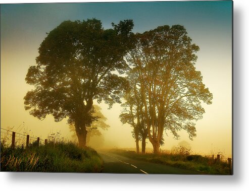Scotland Metal Print featuring the photograph Twilight Guardians. Misty Roads of Scotland by Jenny Rainbow