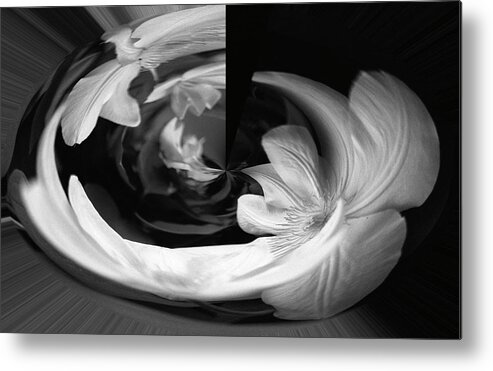 Clematis Metal Print featuring the photograph Twisted #1 by Wanda Brandon