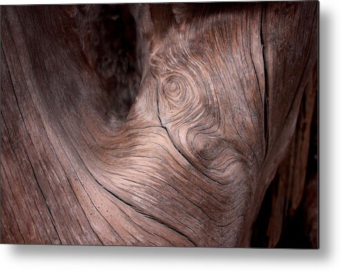 Wood Metal Print featuring the photograph Waves and Wood #2 by Larry Bacon