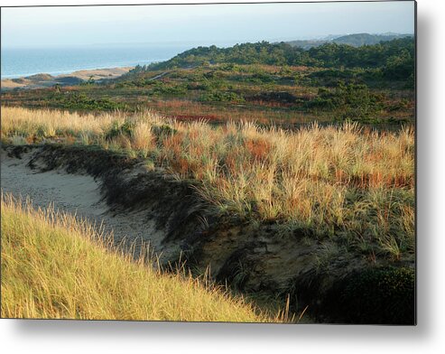 Cape Cod Metal Print featuring the photograph Wellfleet Bay #3 by Thomas Sweeney