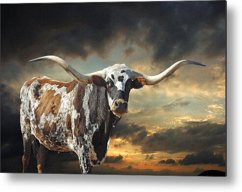 Texas Longhorn Metal Print featuring the photograph West of El Segundo by Robert Anschutz