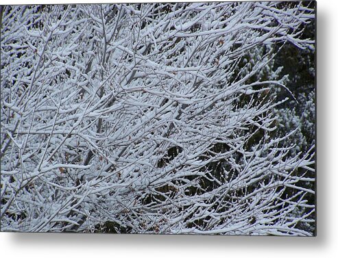 Winter Metal Print featuring the photograph Winter at dusk by Pamela Walrath