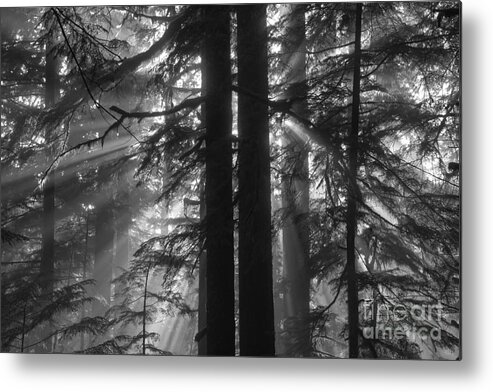  Metal Print featuring the photograph x #1 by Adam Jewell