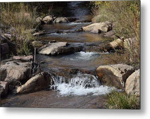 Creek Metal Print featuring the photograph Trip on CR 511 CO by Margarethe Binkley