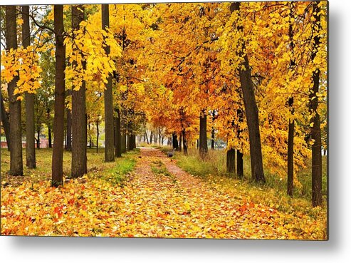 Path Metal Print featuring the digital art Path #10 by Super Lovely