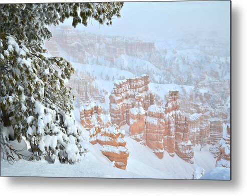 Bryce Canyon National Park Metal Print featuring the photograph Sunset Point #3 by Ray Mathis