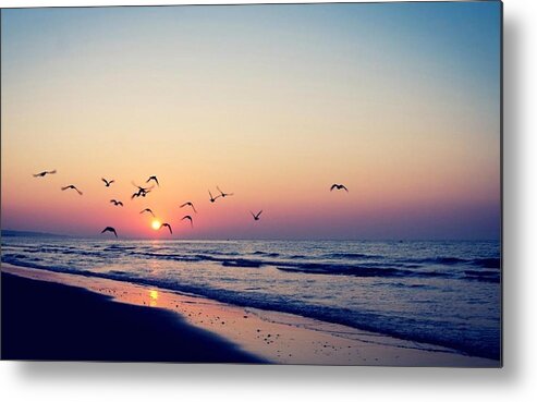 Sunset Metal Print featuring the photograph Sunset #121 by Mariel Mcmeeking