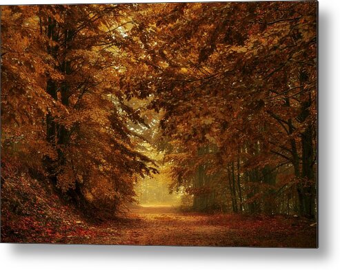 Fall Metal Print featuring the digital art Fall #13 by Super Lovely