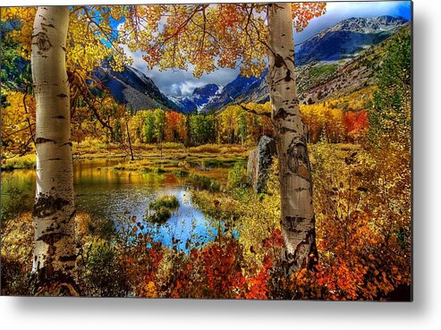 Fall Metal Print featuring the digital art Fall #14 by Super Lovely