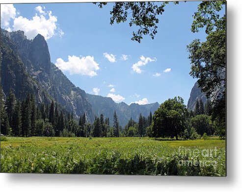 Yosemite Metal Print featuring the photograph 141 by Bryrrose Photography