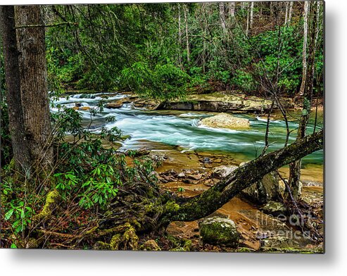 Elk River Metal Print featuring the photograph Back Fork of Elk River #15 by Thomas R Fletcher