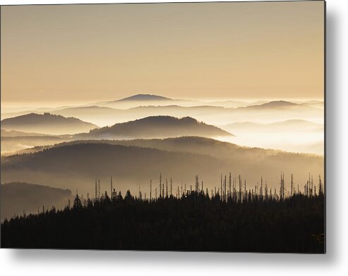 Mount Lusen Metal Print featuring the photograph 151207p110 by Arterra Picture Library