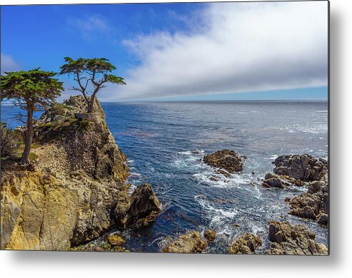 17 Mile Drive Metal Print featuring the photograph 17 Mile Drive Pebble Beach by Scott McGuire