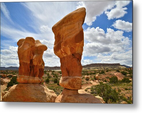Devil's Garden Metal Print featuring the photograph Devil's Garden #6 by Ray Mathis