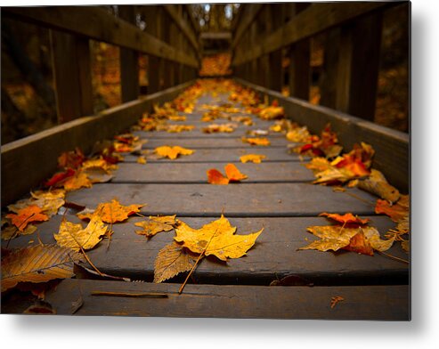 Fall Metal Print featuring the digital art Fall #18 by Super Lovely