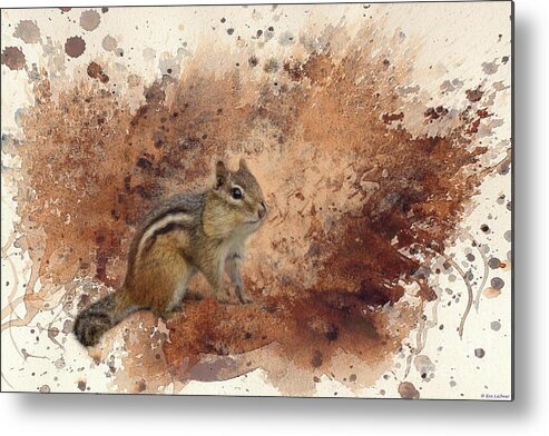 Chipmunk Metal Print featuring the photograph Cutie #3 by Eva Lechner