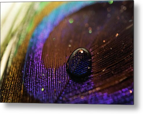 Feather Metal Print featuring the photograph Drop of Feather #2 by Lilia S