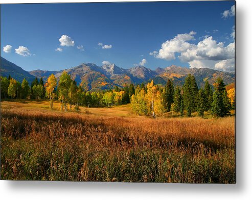 Autumn Metal Print featuring the photograph Fall Colors by Mark Smith