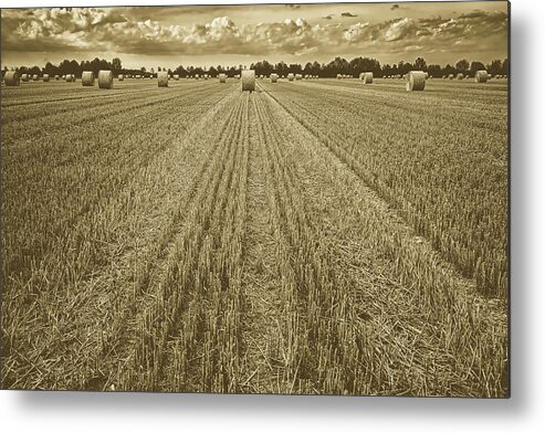 Hayfield Metal Print featuring the photograph Freshly Cut Hayfield #2 by Mountain Dreams