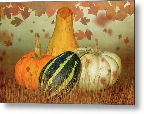 Pumpkins Metal Print featuring the photograph Harvest Time by Cathy Kovarik