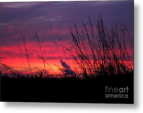 Landscape Metal Print featuring the photograph Morning Poetry #2 by Everett Houser