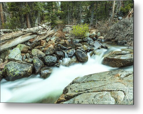 Yosemite Metal Print featuring the photograph Mountain Stream #3 by Ben Graham