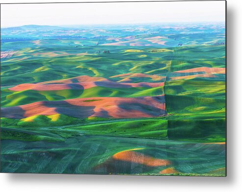 Landscape Metal Print featuring the photograph Rolling wheat field - Palouse #2 by Hisao Mogi