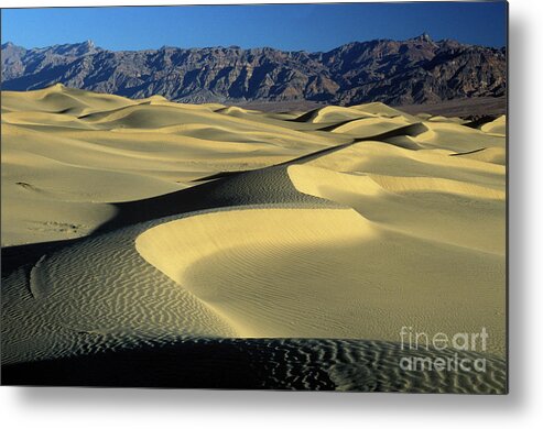 Sand Metal Print featuring the photograph Sand Dunes #2 by Jim And Emily Bush