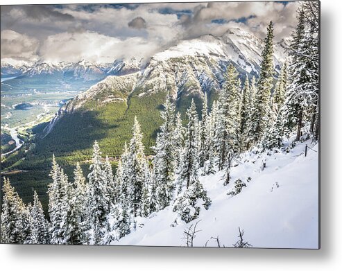  Metal Print featuring the photograph Snow in the trees #3 by Bill Howard