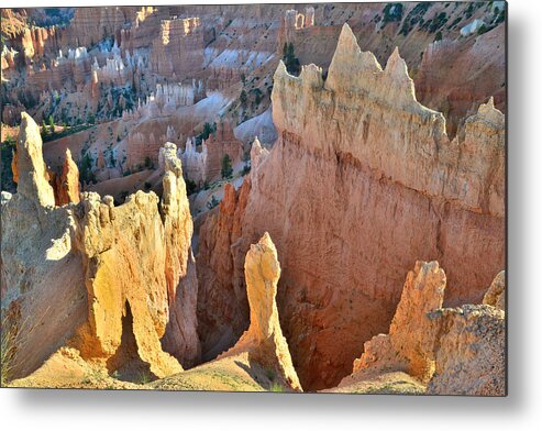 Bryce Canyon National Park Metal Print featuring the photograph Sunrise Point #1 by Ray Mathis